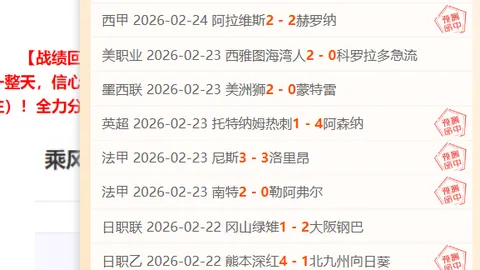 宝可梦卡牌：超级进化回归，完美秩序扩充包购指南