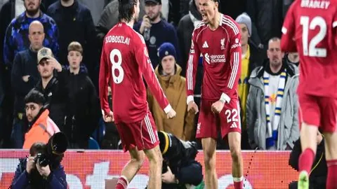 宝可梦公司声明：白宫滥用字体，未授权使用